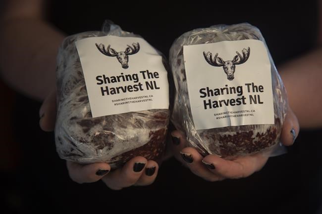 Hunters may soon be able to donate meat to Newfoundland and Labrador food banks | iNFOnews.ca Hunters may soon be able to donate meat to Newfoundland and Labrador food banks | iNFOnews.ca