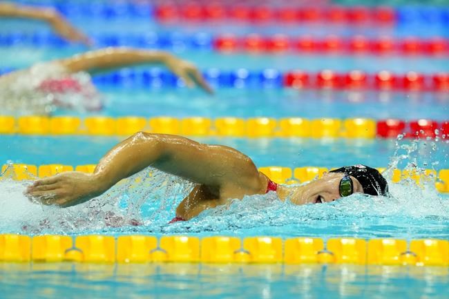 Decorated swimmer Penny Oleksiak healing from knee surgery, not yet ready to race | iNFOnews.ca Decorated swimmer Penny Oleksiak healing from knee surgery, not yet ready to race | iNFOnews.ca