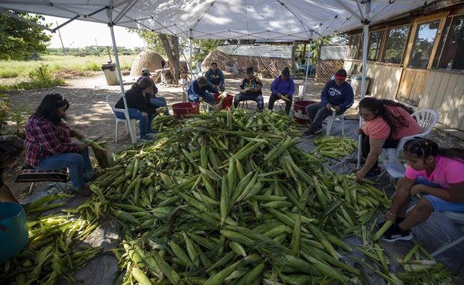 Tribe seeks to adapt as climate change alters ancestral home | iNFOnews.ca