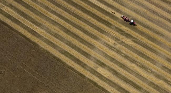 Fertilizer greenhouse gas cuts may take longer than Ottawa wants, farm groups say | iNFOnews.ca