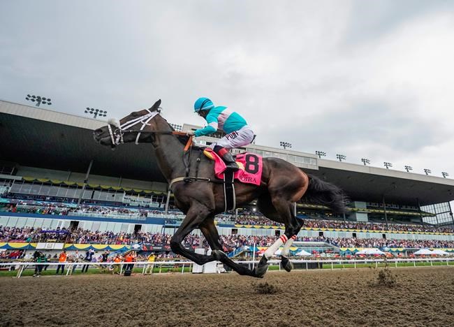 Queen's Plate winner Moira faces challenge in Breeders' Cup race | iNFOnews.ca