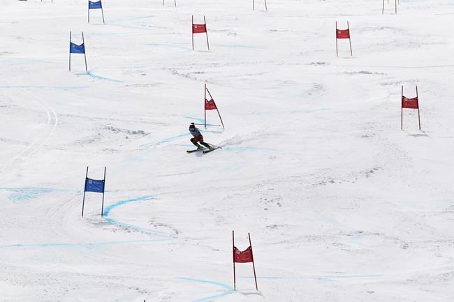 Alpine Canada to sign on with new sport integrity commissioner's Abuse-Free Sport | iNFOnews.ca Alpine Canada to sign on with new sport integrity commissioner's Abuse-Free Sport | iNFOnews.ca