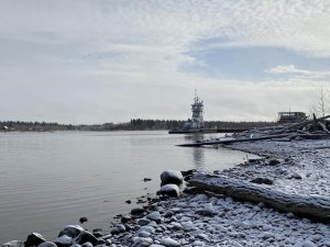 CP264111880