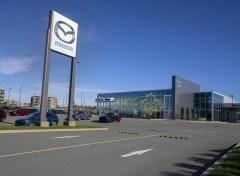CP2113355937