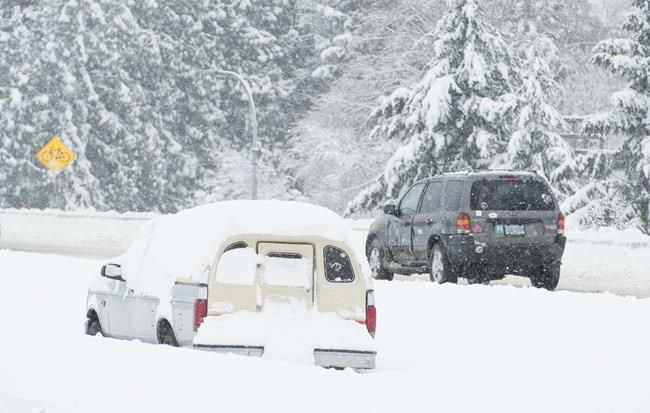 Arctic chill, more snow for parts of B.C., following powerful weekend storm | iNFOnews.ca
