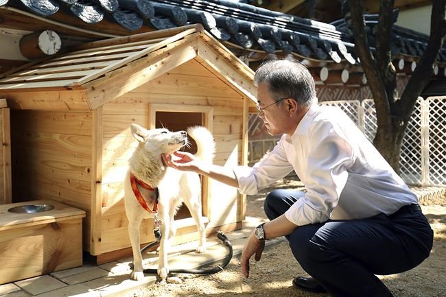 Dogs gifted by Kim Jong Un at center of South Korean row | iNFOnews.ca Dogs gifted by Kim Jong Un at center of South Korean row | iNFOnews.ca
