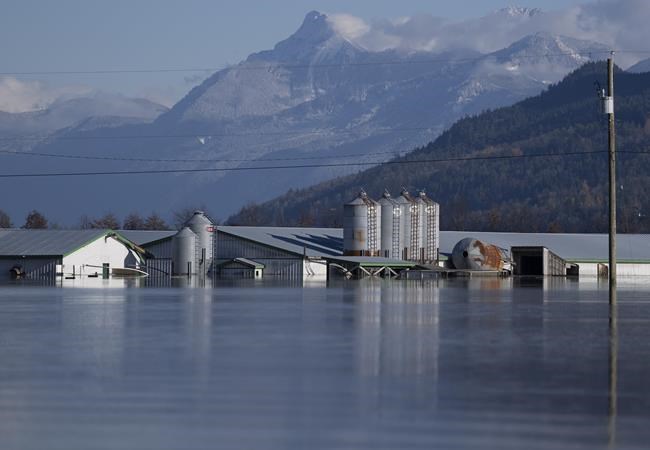 B.C. agriculture minister says sector is recovering well on flooding anniversary | iNFOnews.ca CP1782060523