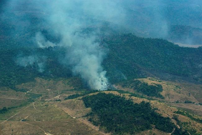 Relationship between nature, people is damaged and poses danger, UN leaders say | iNFOnews.ca
