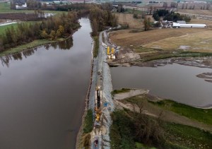 CP1175442216