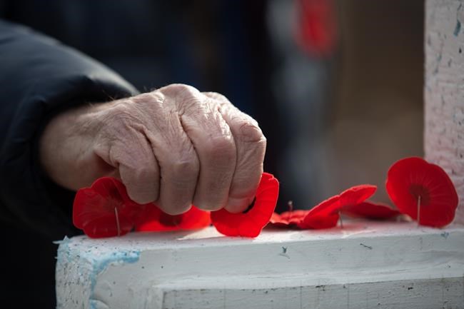 Ukraine war looms large as Canadians mark Remembrance Day | iNFOnews.ca Ukraine war looms large as Canadians mark Remembrance Day | iNFOnews.ca