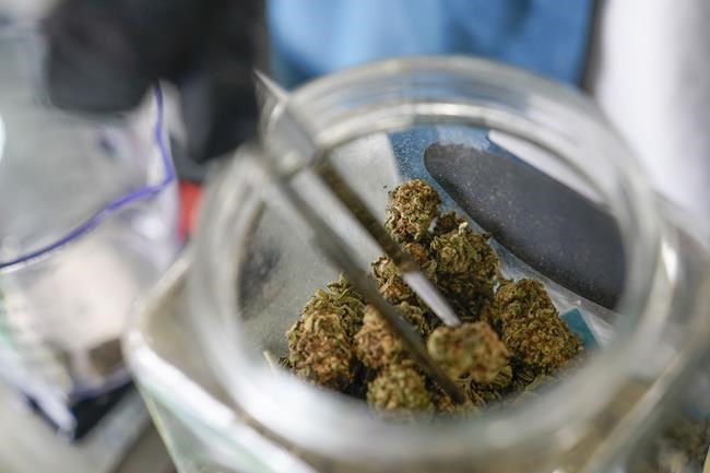 Walz says Minnesota Legislature could legalize pot in 2023 | iNFOnews.ca
