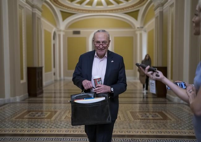 Senate won for Democrats, 'It's the year of Chuck Schumer' | iNFOnews.ca