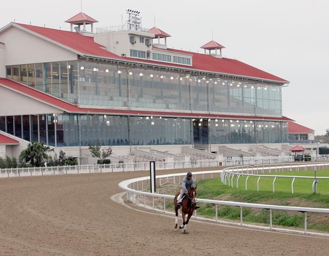 Appeals court strikes down federal horseracing rules act | iNFOnews.ca