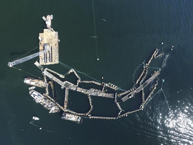 Washington bans fish-farming net pens, citing salmon threat | iNFOnews.ca Washington bans fish-farming net pens, citing salmon threat | iNFOnews.ca