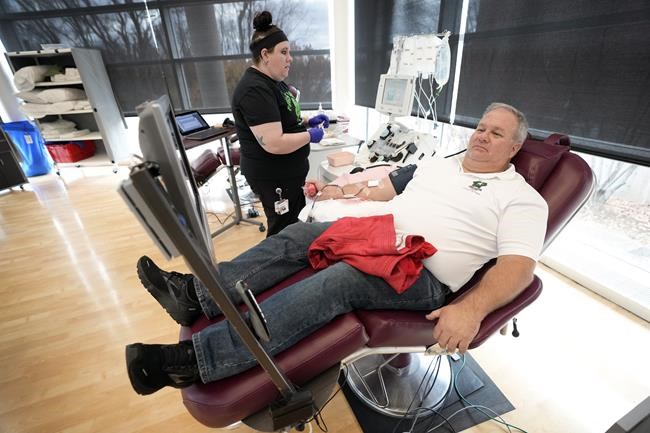 No more mad cow worries, banned blood donors can give again | iNFOnews.ca No more mad cow worries, banned blood donors can give again | iNFOnews.ca