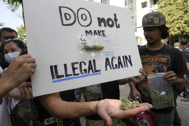 Thai marijuana boosters rally to keep drug decriminalized | iNFOnews.ca