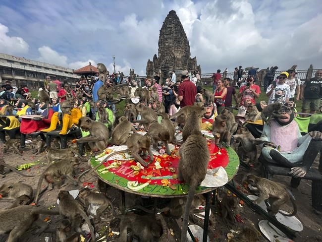 Monkeys in central Thailand city mark their day with feast | iNFOnews.ca CP987688273