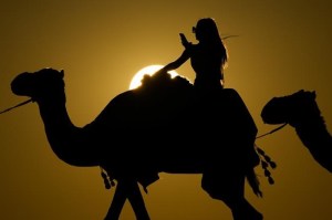 CP1640596422