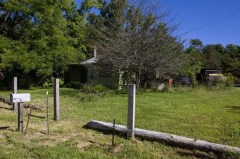 CP21546498