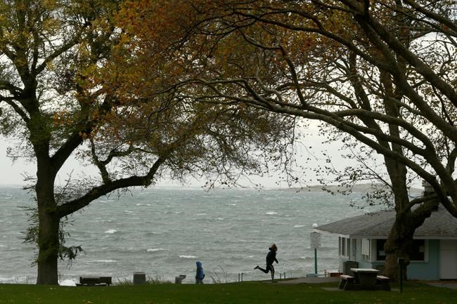 Arctic chill over much of B.C., snowy wallop for Vancouver Island: Environment Canada | iNFOnews.ca Arctic chill over much of B.C., snowy wallop for Vancouver Island: Environment Canada | iNFOnews.ca