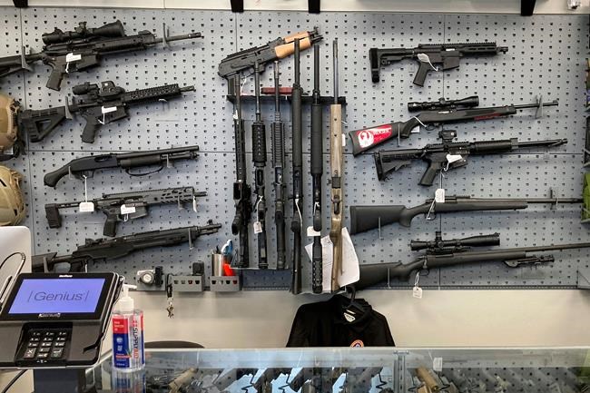 State judge places hold on Oregon's gun law, state to appeal | iNFOnews.ca CP1989782414