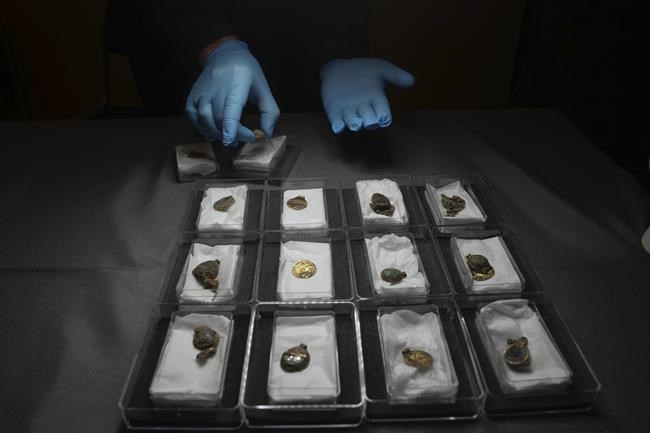 Dig at UK housing site yields major 7th century treasures | iNFOnews.ca