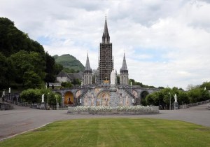 CP1145136510