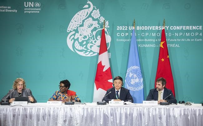 Developed countries called on to provide meaningful financial support at COP15 | iNFOnews.ca