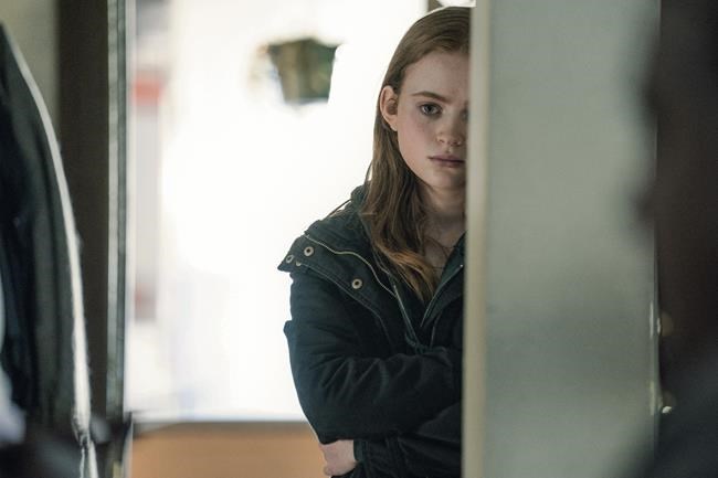Review: 'The Whale' is a hard but astounding film to watch | iNFOnews.ca