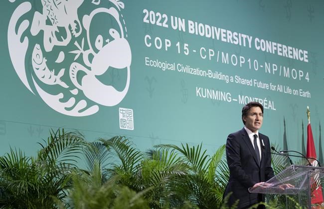 As nature talks unfold, here's what '30 by 30' conservation could mean in Canada | iNFOnews.ca