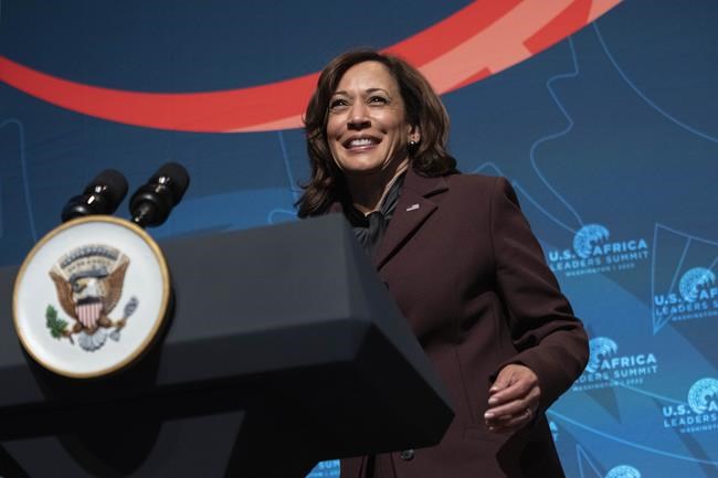 US-hosted Africa summit opens with focus on youth, security | iNFOnews.ca