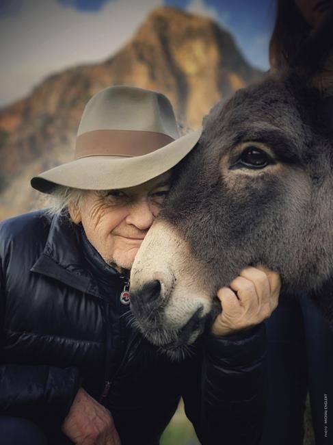 An 84-year-old filmmaker looks into a donkey's soul in ‘EO’ | iNFOnews.ca