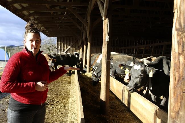 Organic livestock farmers, hit by rising prices, seek help | iNFOnews.ca Organic livestock farmers, hit by rising prices, seek help | iNFOnews.ca