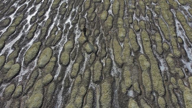 Biden signs bill to study salt lakes in drought-hit US West | iNFOnews.ca Biden signs bill to study salt lakes in drought-hit US West | iNFOnews.ca
