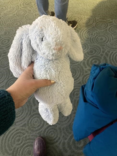 The tale of Bunbun, stranded at Vancouver airport, has a happy ending | iNFOnews.ca The tale of Bunbun, stranded at Vancouver airport, has a happy ending | iNFOnews.ca