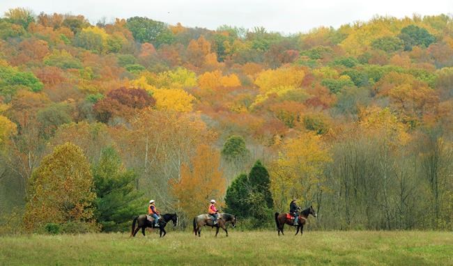 Forest Service to start Indiana project despite concerns | iNFOnews.ca