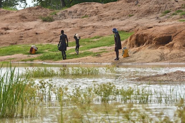 Guinea worm eradication effort enters ‘most difficult’ phase | iNFOnews.ca