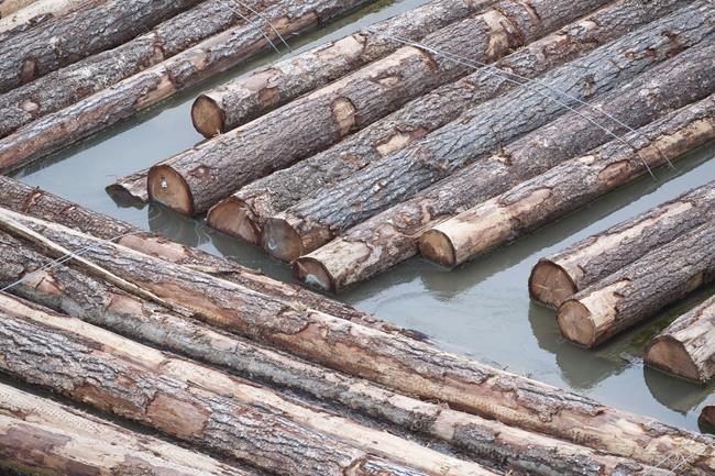 B.C. to dedicate some provincial timber supply to value-added industry | iNFOnews.ca B.C. to dedicate some provincial timber supply to value-added industry | iNFOnews.ca