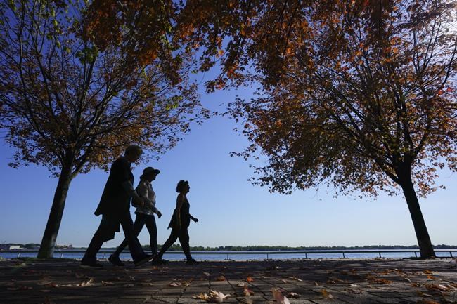 Just a bit of exercise can improve mental health, scientists, psychologists say | iNFOnews.ca Just a bit of exercise can improve mental health, scientists, psychologists say | iNFOnews.ca