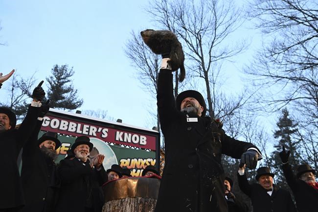 Don’t like Phil’s forecast? Check out these rodents instead | iNFOnews.ca Don’t like Phil’s forecast? Check out these rodents instead | iNFOnews.ca