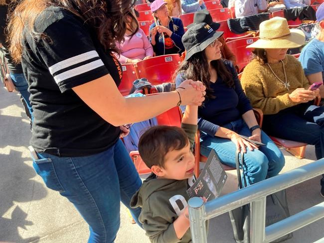 Tribes, researchers debate final fate of P-22, famed LA puma | iNFOnews.ca Tribes, researchers debate final fate of P-22, famed LA puma | iNFOnews.ca