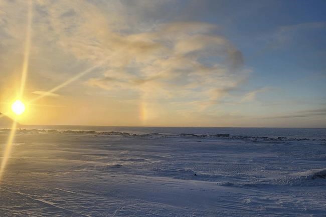 Polar bear in fatal Alaska attack was in poor health | iNFOnews.ca