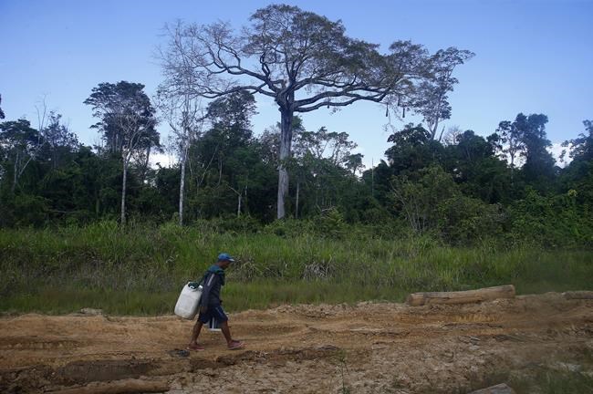 Brazil pushes illegal miners out of Yanomami territory | iNFOnews.ca