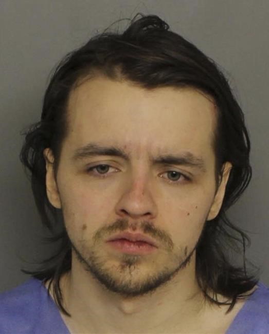 Maryland manhunt ends with arrest in woods, 2 officers shot | iNFOnews.ca