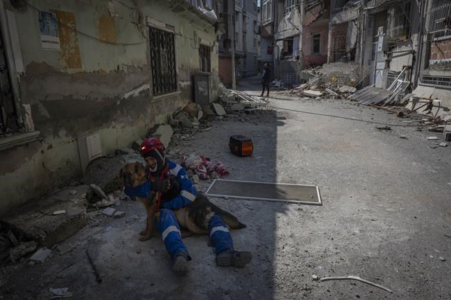 Amid quake's devastation, parallel rescue bid targets pets | iNFOnews.ca