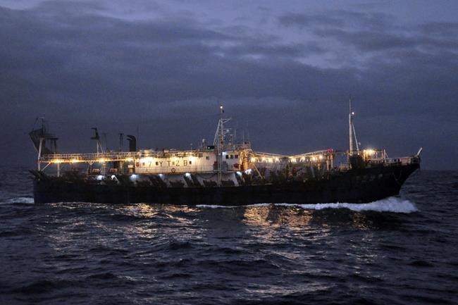 UN ocean treaty talks resume with goal to save biodiversity | iNFOnews.ca UN ocean treaty talks resume with goal to save biodiversity | iNFOnews.ca