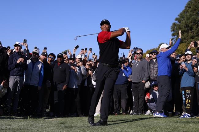Tiger Woods sightings are rare as he enters semiretirement | iNFOnews.ca