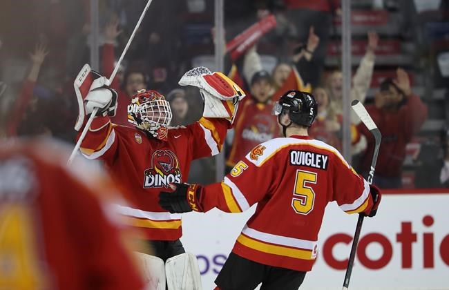 Calgary Dinos focused on playoffs after capping season with 23-game winning streak | iNFOnews.ca