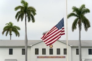 CP213179061