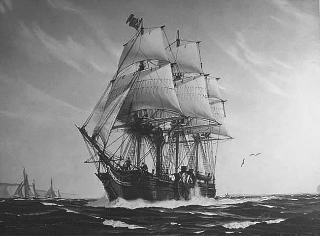 Flotsam found off New York may be from famous SS Savannah | iNFOnews.ca